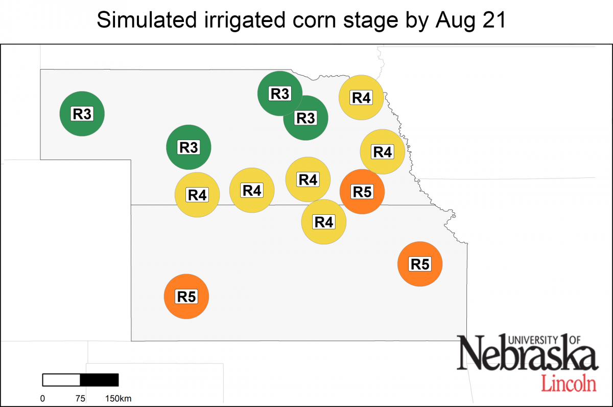 Irriated growth stage as of August 21, 2019