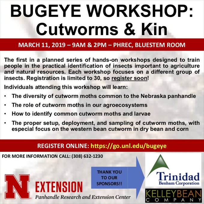 Flyer promoting Bugeye Workshop: Cutworms & Kin