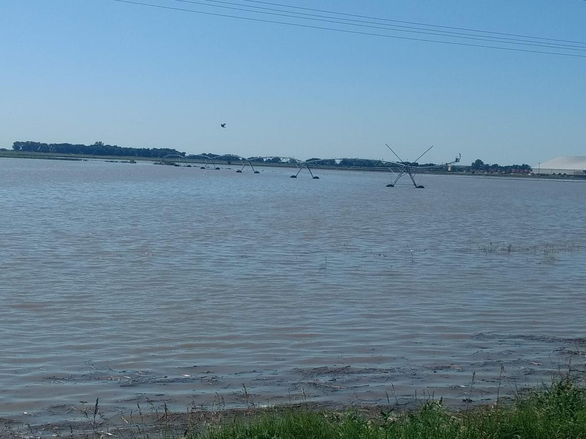 A center pivot irrigation system, but no crop, stands out in a flooded field.