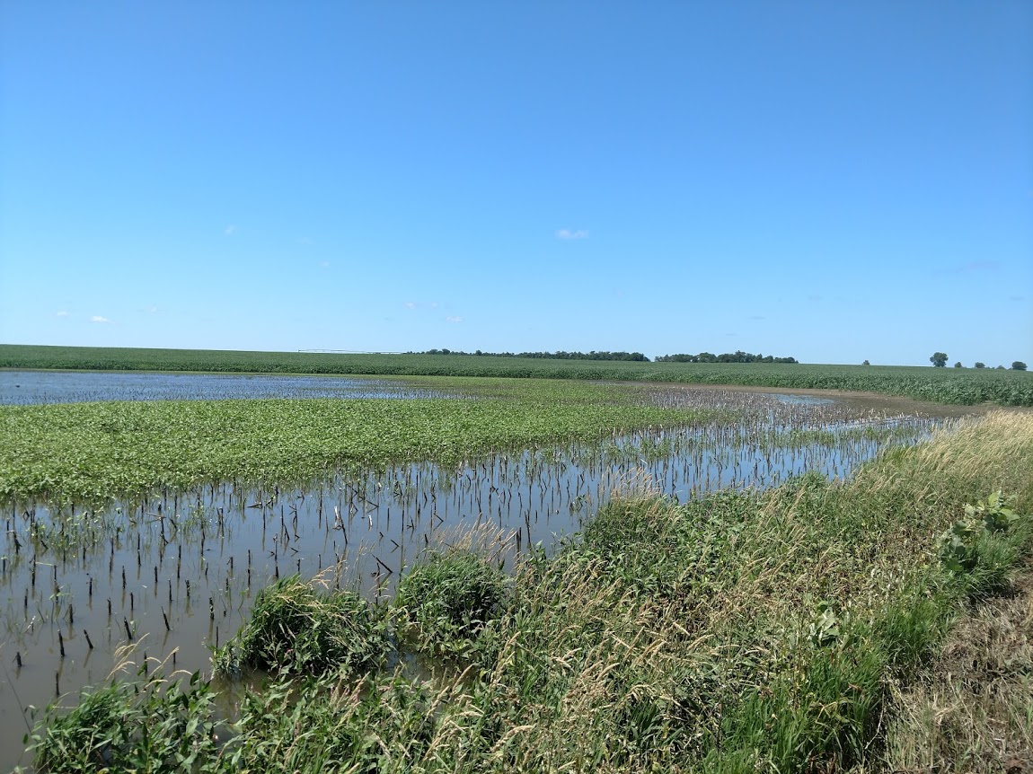 Flooded field in Clay County in south central Nebraska 