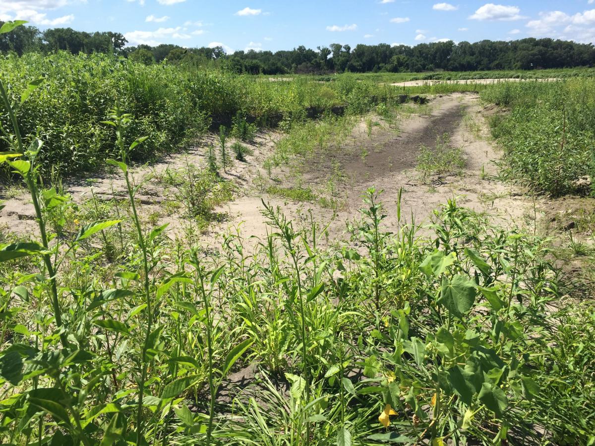 Severely flood-damaged farmland near the Elkhorn River