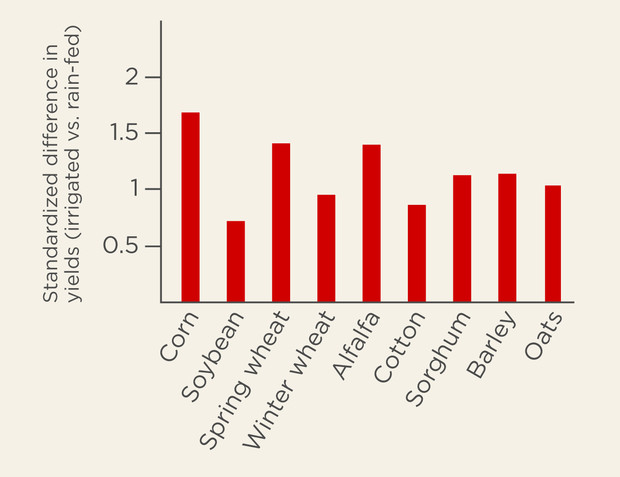 Bar chart illustrating the average difference in irrigated bersus rain-fed yields