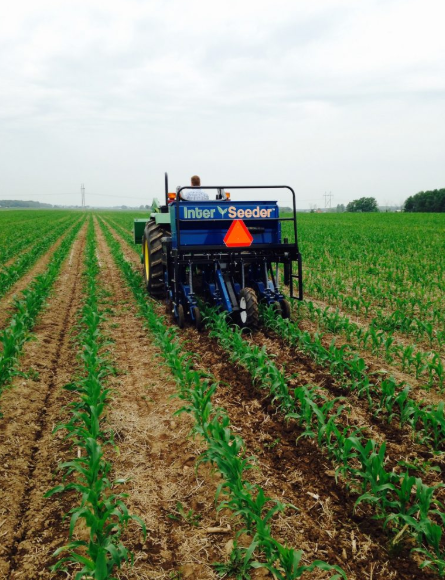 Interseeder being used to drill cover crops into V5 corn in Wisconsin