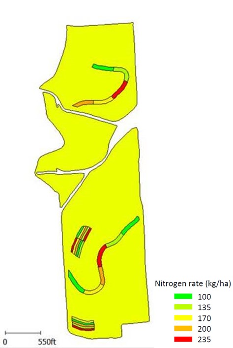 Figure 6. Nitrogen rate trials on contour farmed fields