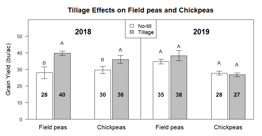 Graph of the effects of tillage treatment on yield of chickpeas and field peas