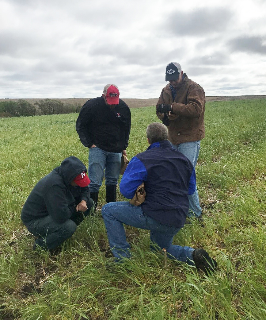 Field visit to research site in Soil Health Initiative Project