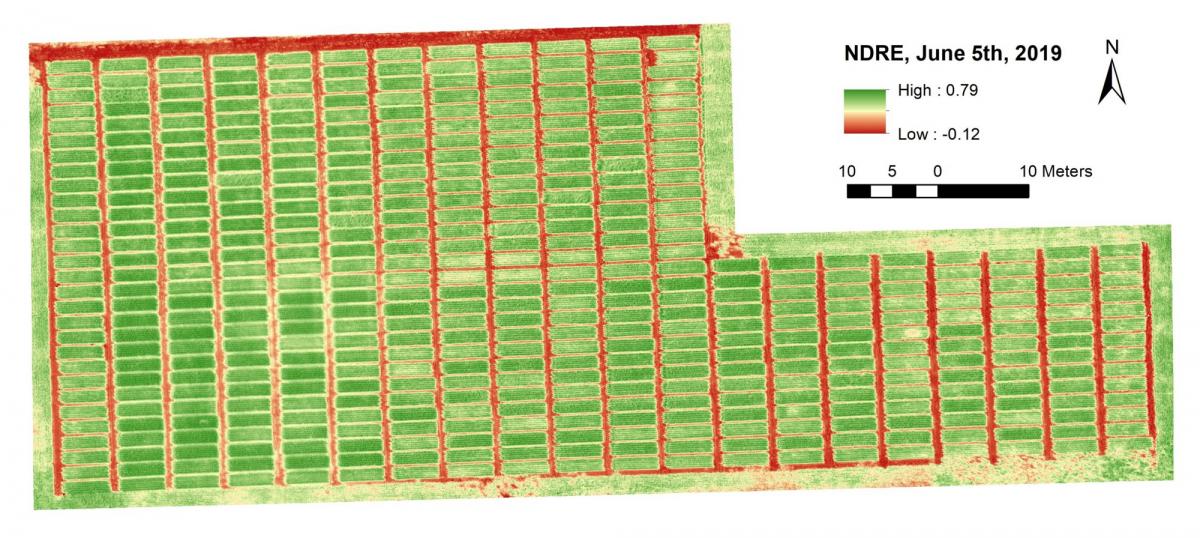 An image captured from the drone, after processing, depicts the Normalized Difference Red Edge (NDRE) values for the plot. Maharjan’s team plans to use the sensor images to share algorithms with producers that they can use during the growing season to adjust N rates to increase grain yield and quality.
