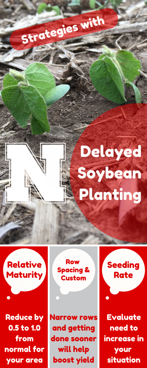 Strategies to use with delayed soybean planting