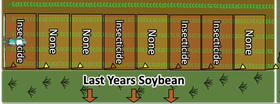 Diagram showing random unsprayed (none) areas the width of boom along a field edge measuring about 50-100 ft long and 90-100 ft wide to determine if any efficacy was achieved with an insecticide application.