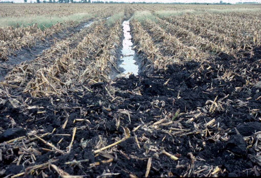 wet soil compaction in a field