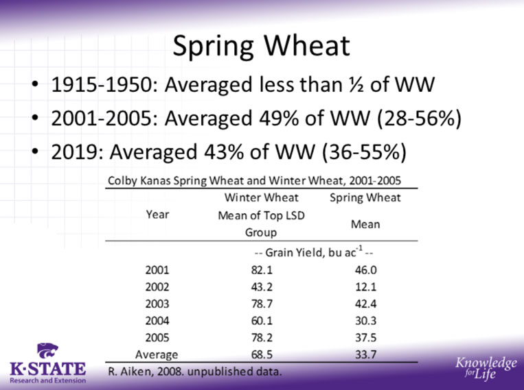 spring wheat averages