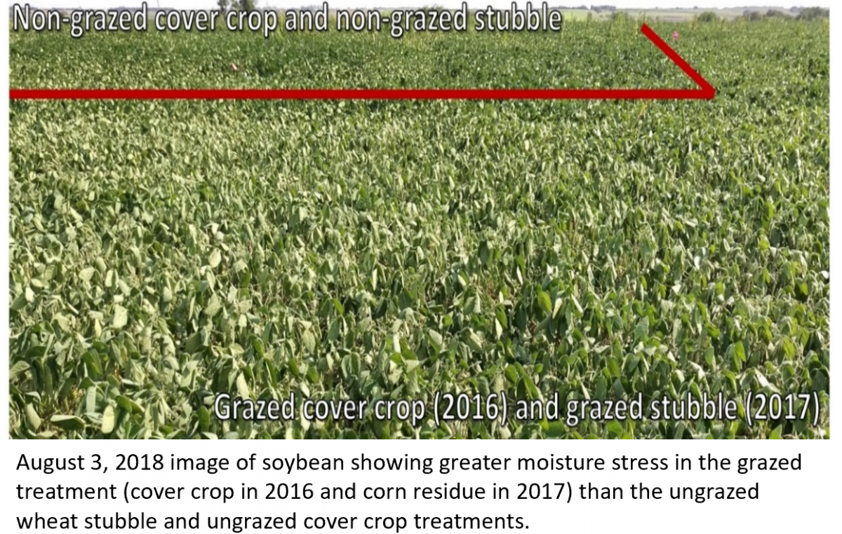Crop rotation comparison chart