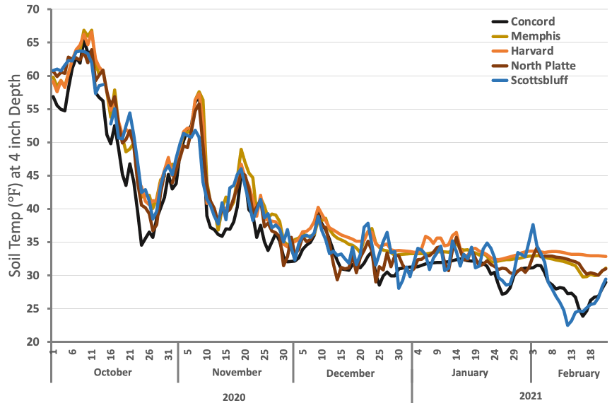 Soil temperature graph October to February