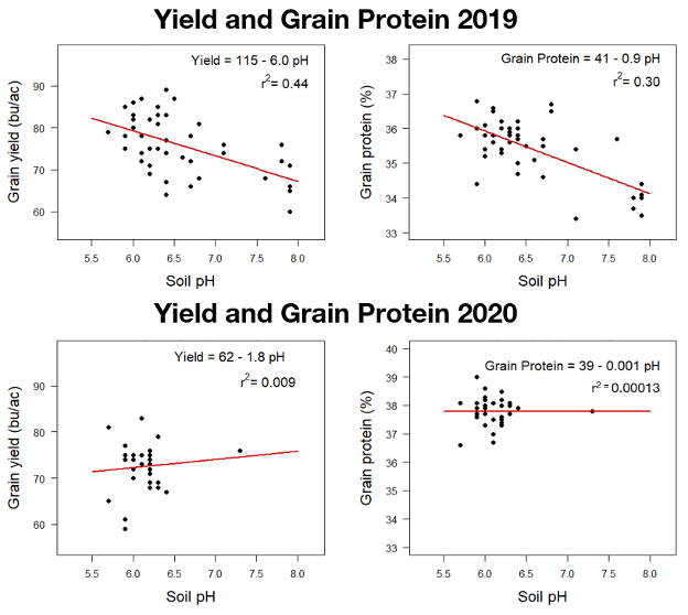 Soybean Equilibrium Chart