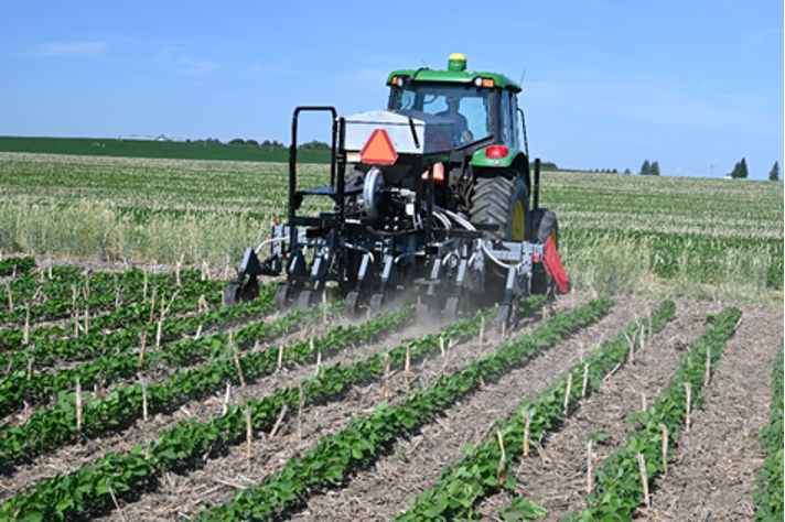 Results From Interseeding Cover Crops Into Corn Or Soybean Cropwatch University Of Nebraska