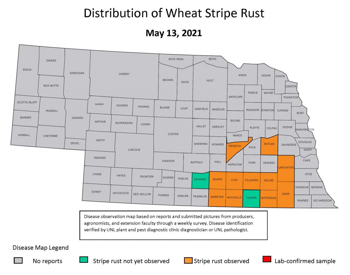 Stripe rust in Nebraska map