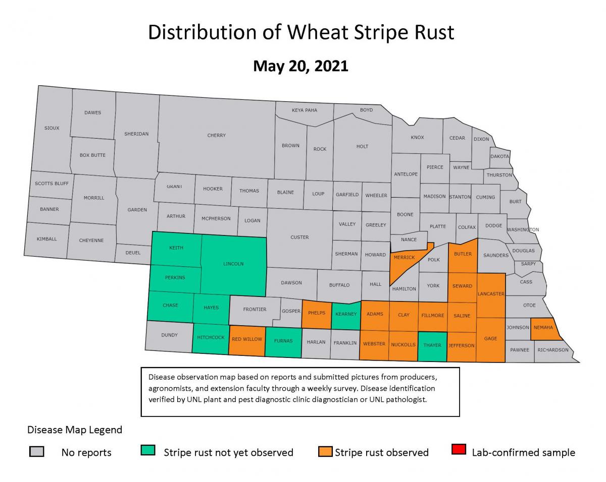 Wheat stripe rust in Nebraska map
