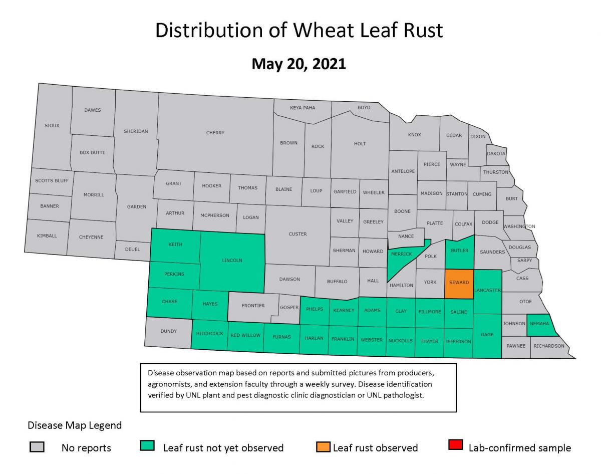 Wheat leaf rust in Nebraska map