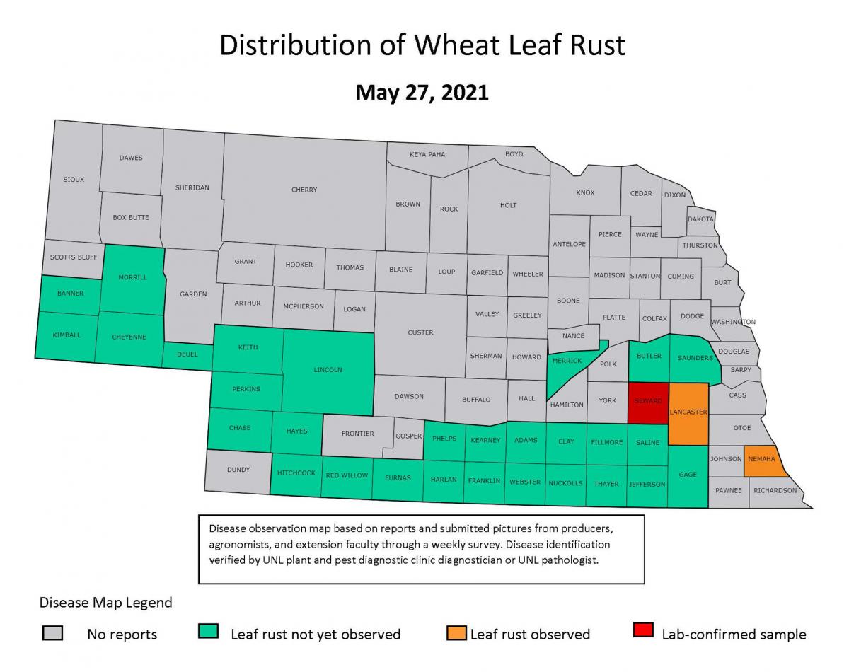 Leaf rust map May 27