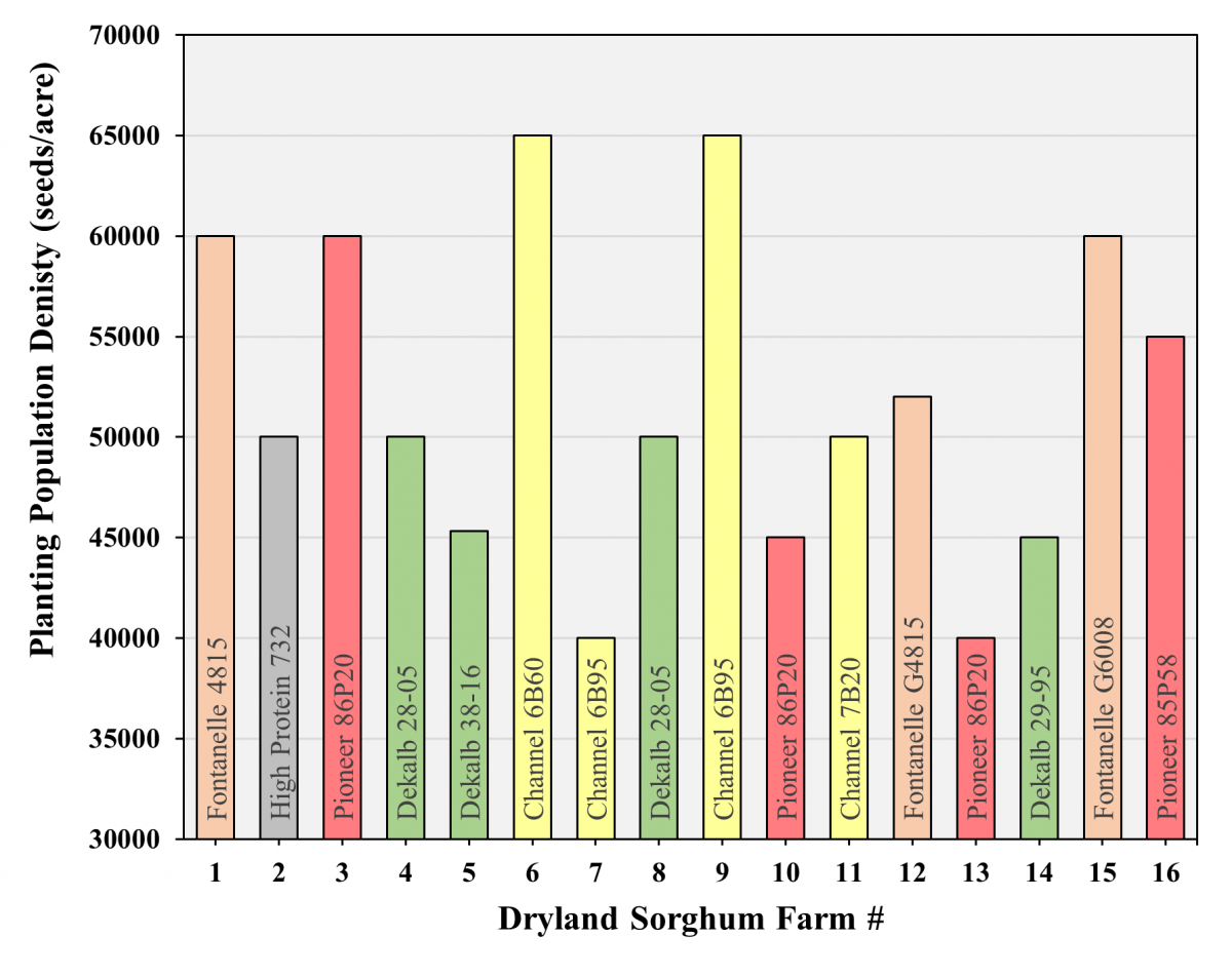 TAPS sorghum dryland planted graph