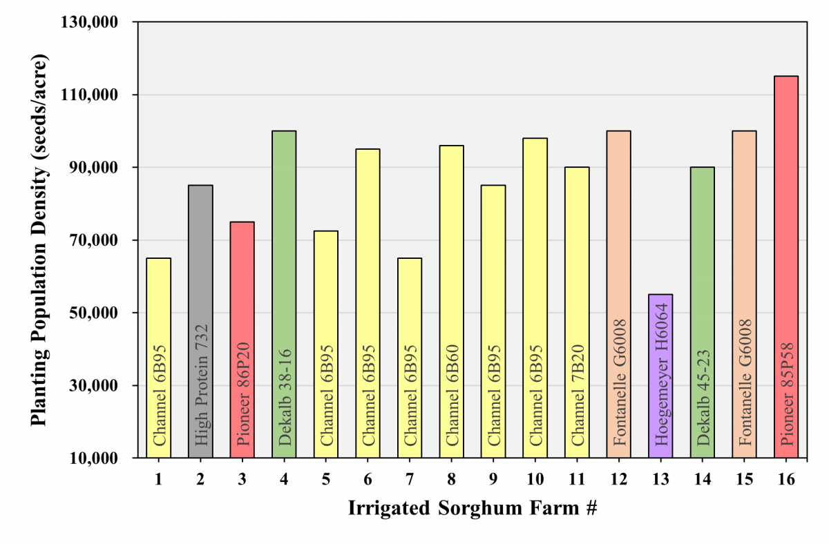 TAPS sorghum irrigated planted graph