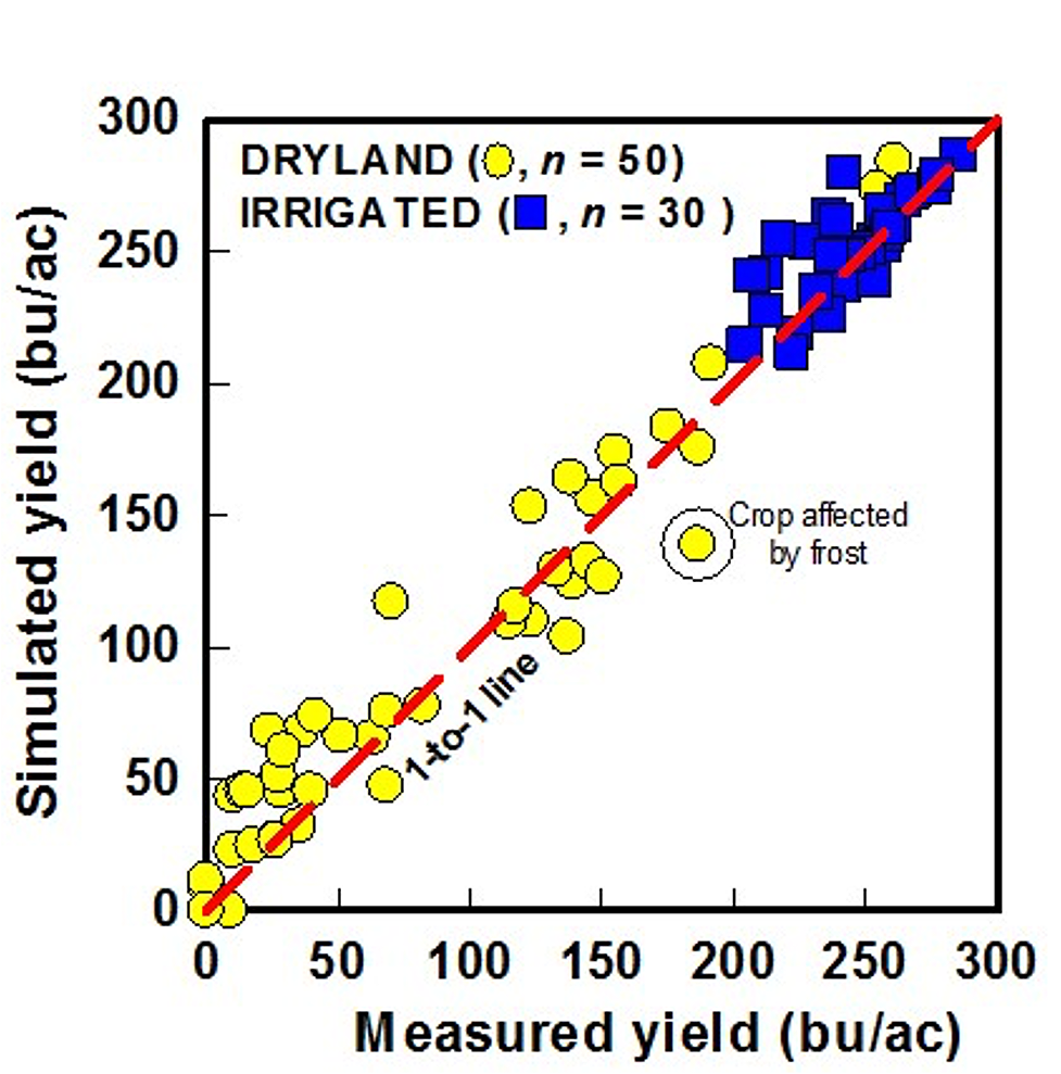 Graph of final yield vs. actual yields
