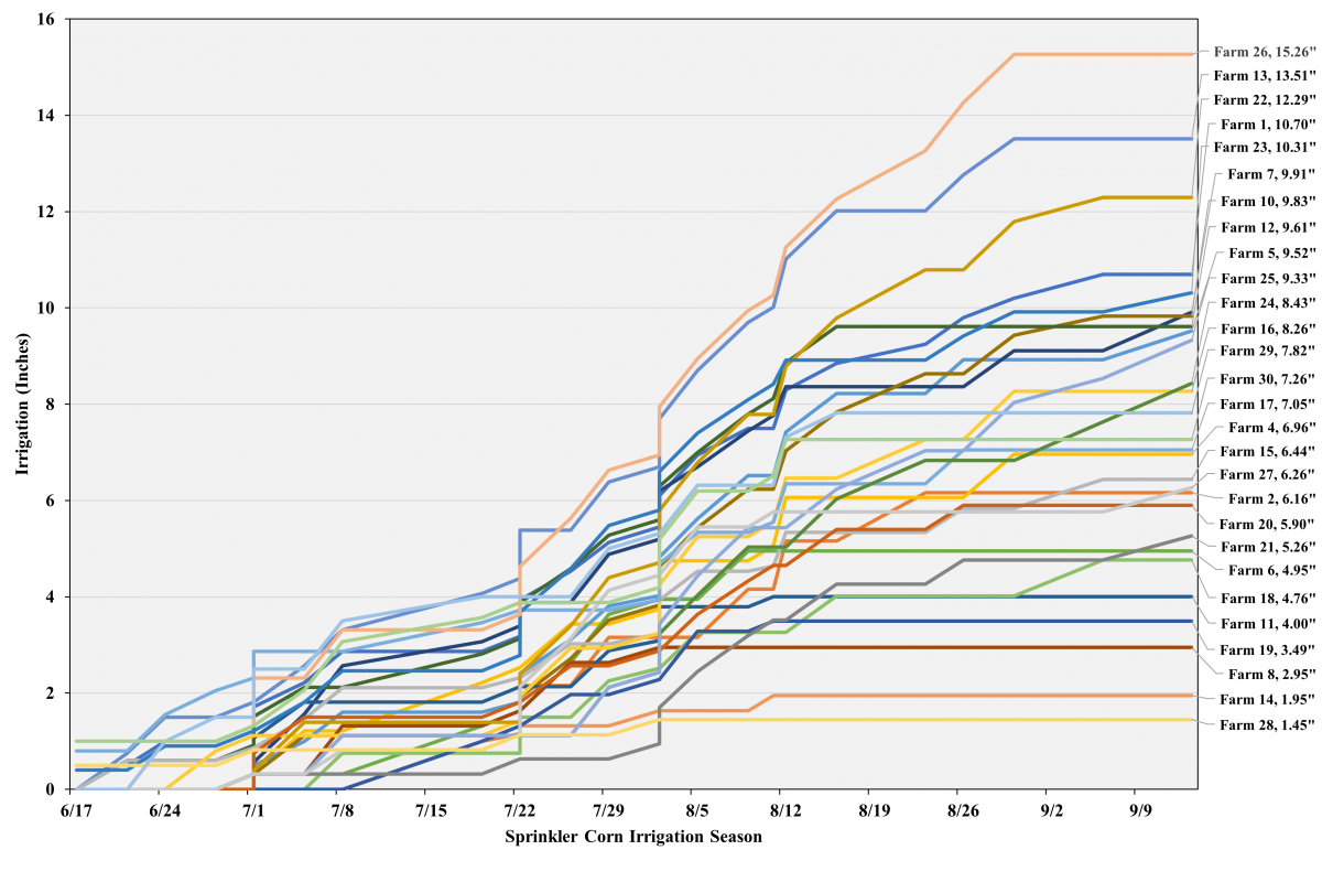 Sprinkler corn irrigation