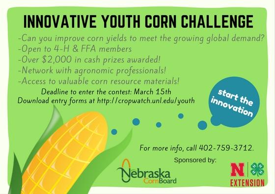 Corn Challenge flyer