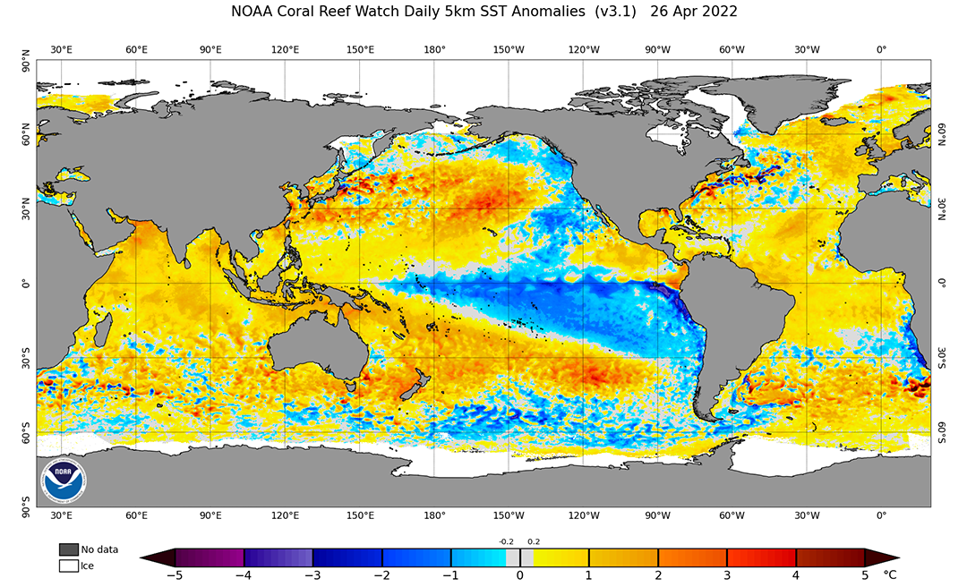 Sea surface temp anomalies