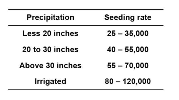 Sorghum rating seeding chart