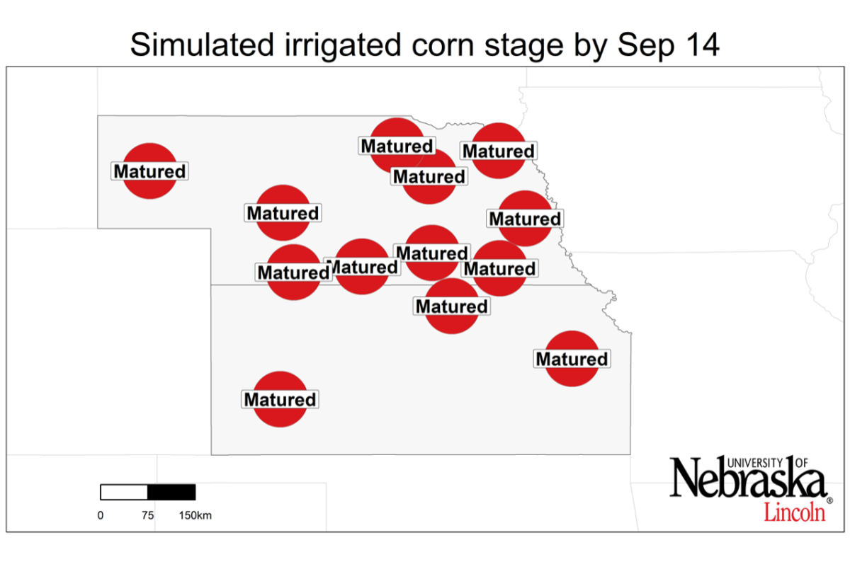 Graph of Simulated developmental stage for irrigated and rainfed corn