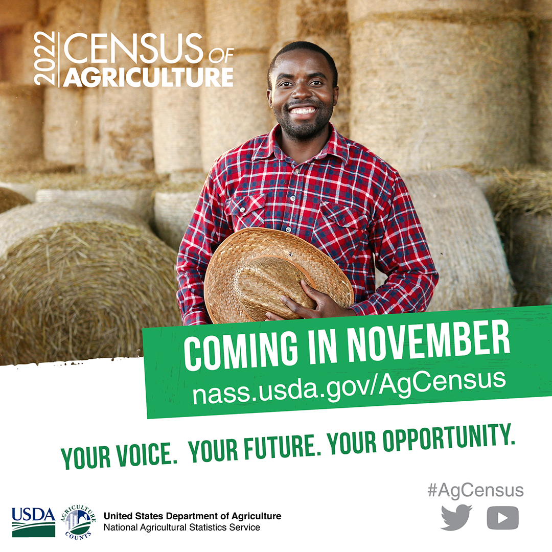 USDA Census ad