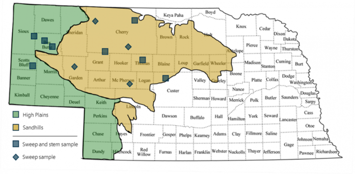 Wheat sawfly sampling map