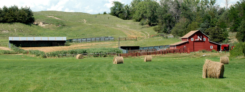Barn and farmland