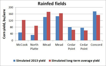 Hybrid-Maize rainfed simulations