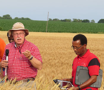 UNL Wheat breeder Stephen Baenziger and Assistant Professor Teshome Regassa