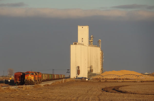 Grain elevator at harvest