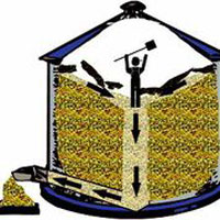 Illustration of entrapment in a grain bin