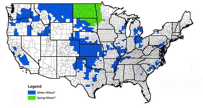 US map showing SCO coverage for winter and spring wheat