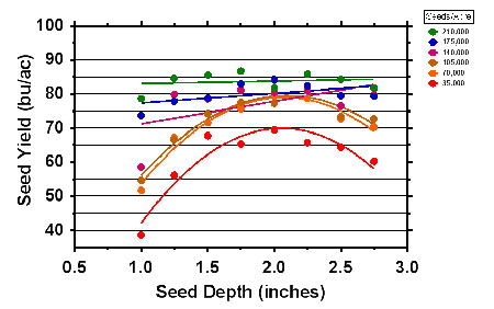 Seeding depth chart