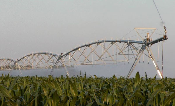 center pivot irrigation in corn