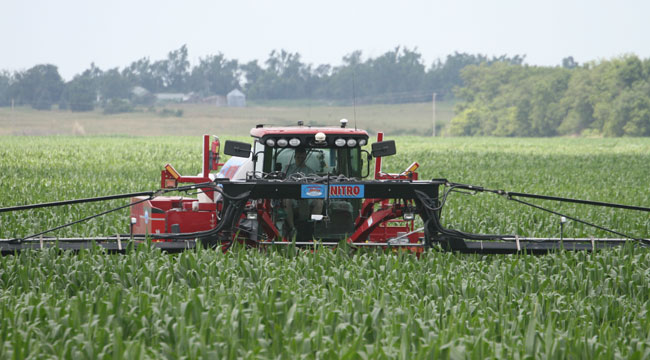 Crop sensor in the field