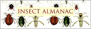 insect almanac graphic