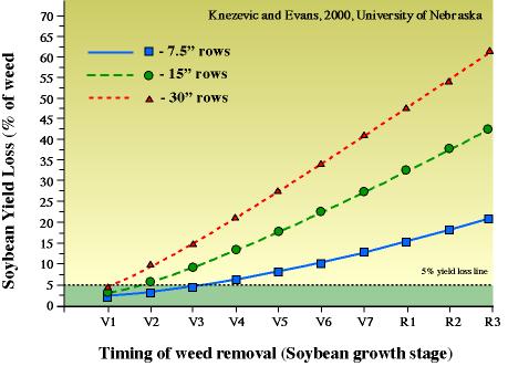 Graph of soybean yield loss