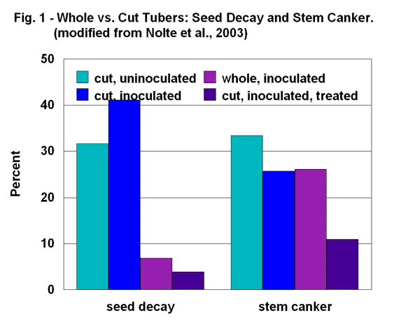 Whole vs. cut tubers: disease