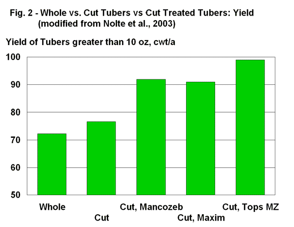 Whole vs. cut tubers: Yield