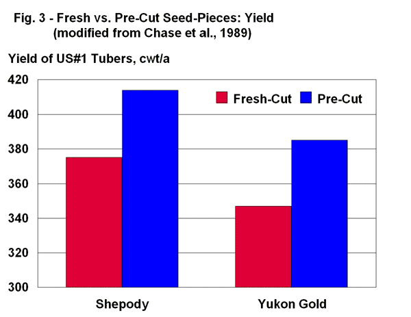 Fresh vs. pre-cut tuber seed yield