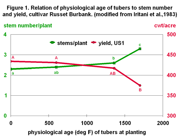 Physiological age related to stem number and yield