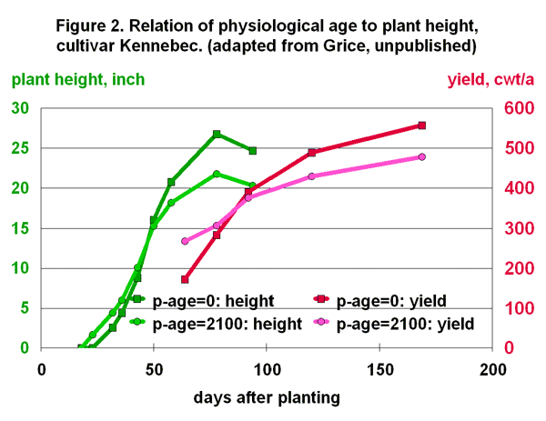 Relation of physiological age and plant height