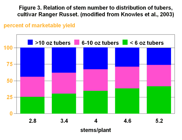 Relation of stem length, tuber numbers